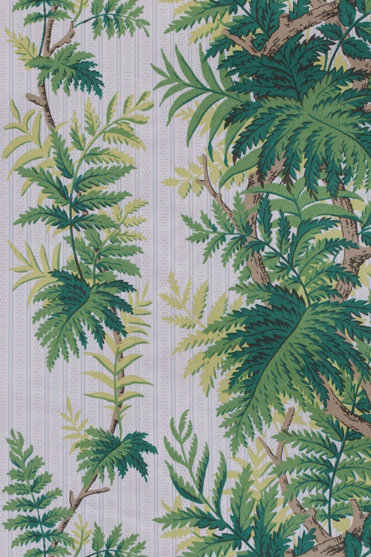 FERN STRIPE