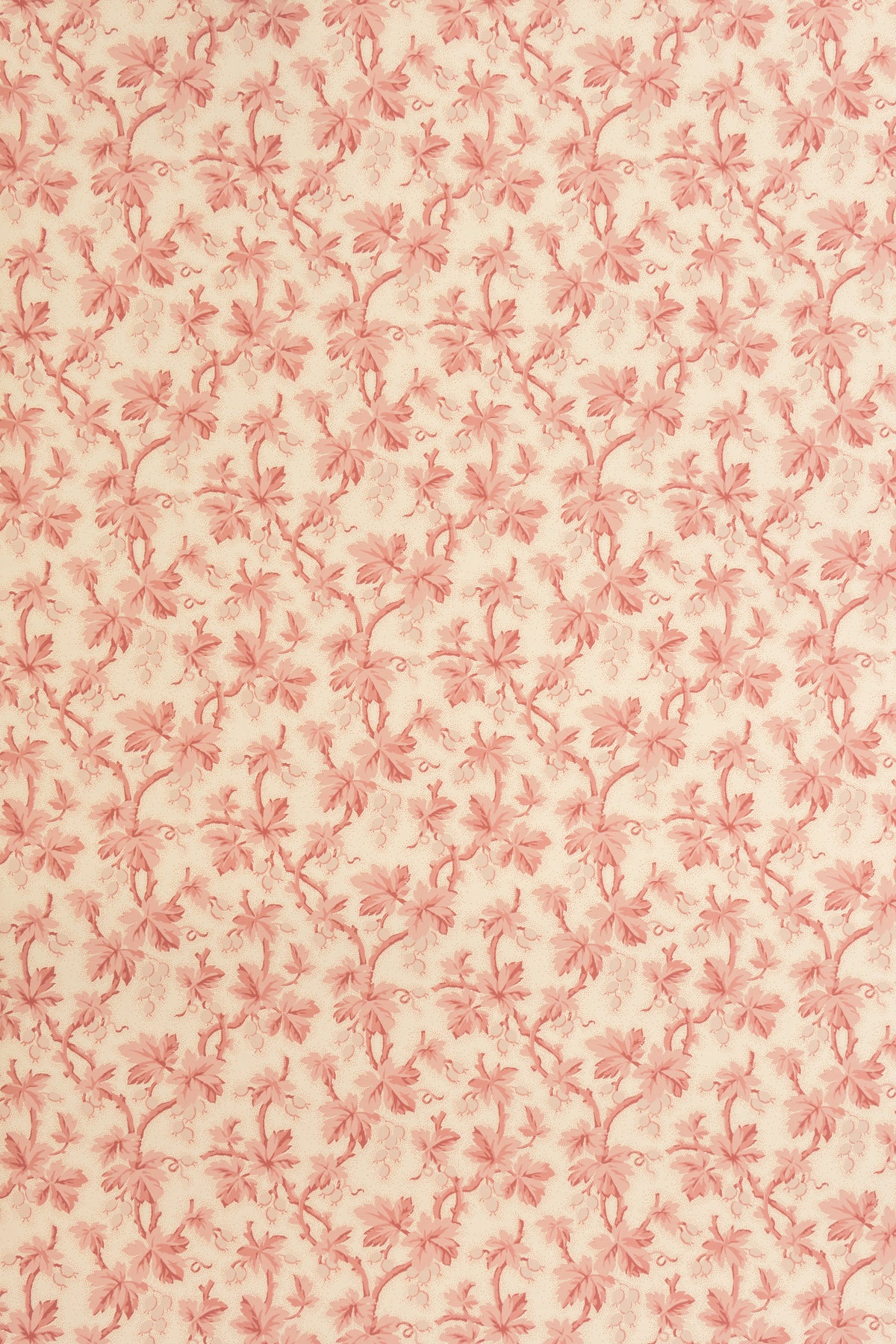 jmp-goo-01 blossom_GOOSEBERRY wallpaper