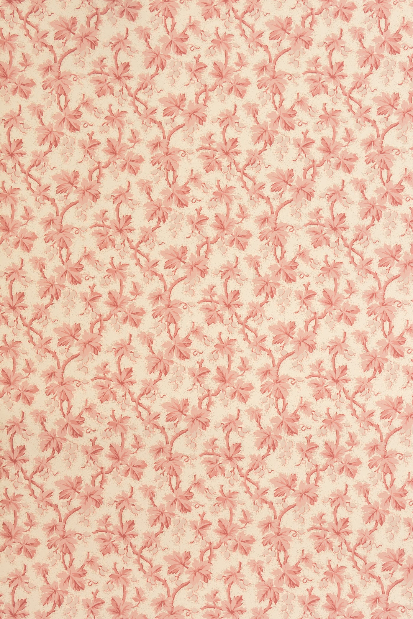 jmp-goo-01 blossom_GOOSEBERRY wallpaper