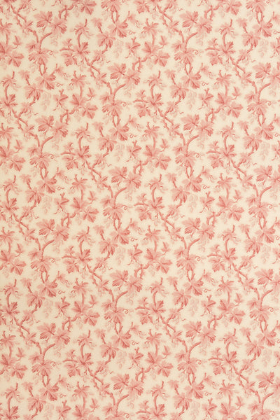 jmp-goo-01 blossom_GOOSEBERRY wallpaper