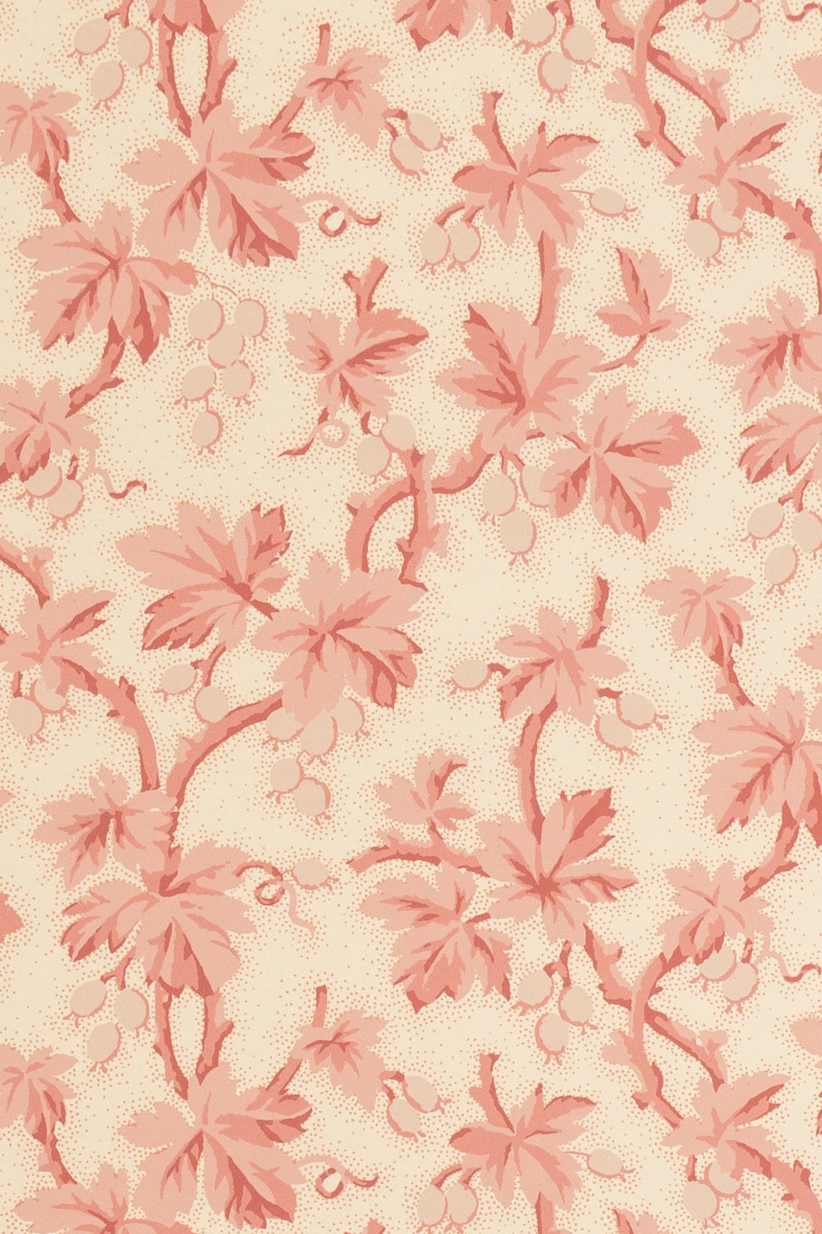 jmp-goo-01 blossom_GOOSEBERRY wallpaper