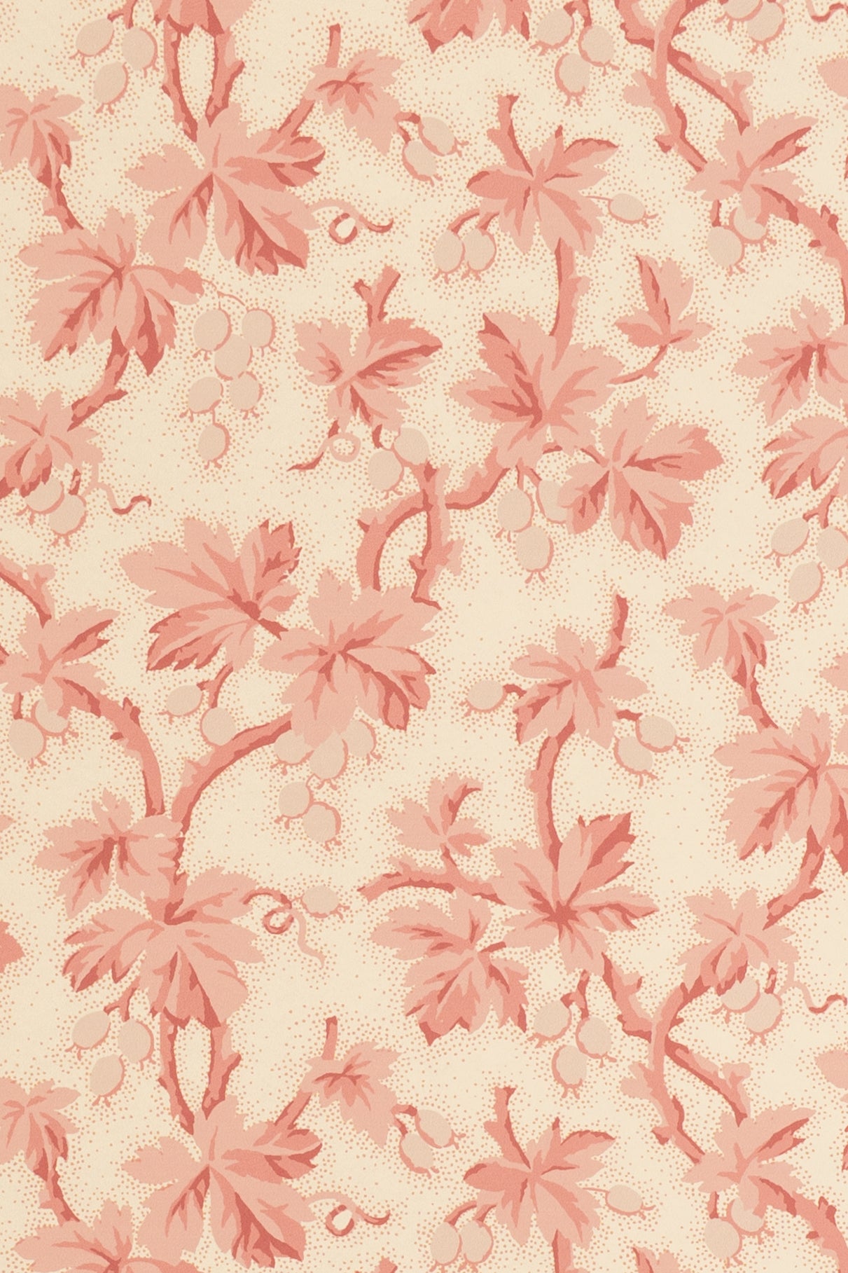 jmp-goo-01 blossom_GOOSEBERRY wallpaper