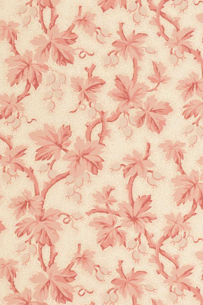 jmp-goo-01 blossom_GOOSEBERRY wallpaper