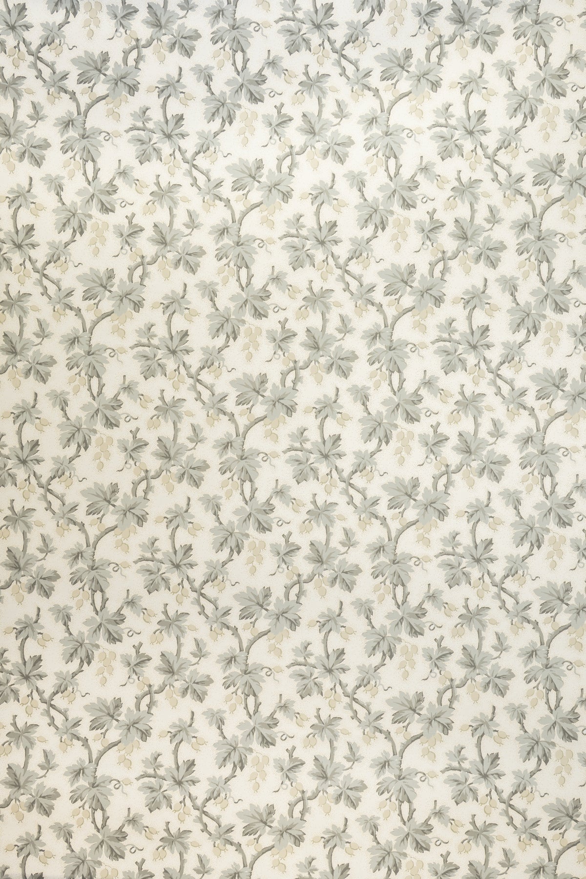 jmp-goo-02 dove_GOOSEBERRY wallpaper
