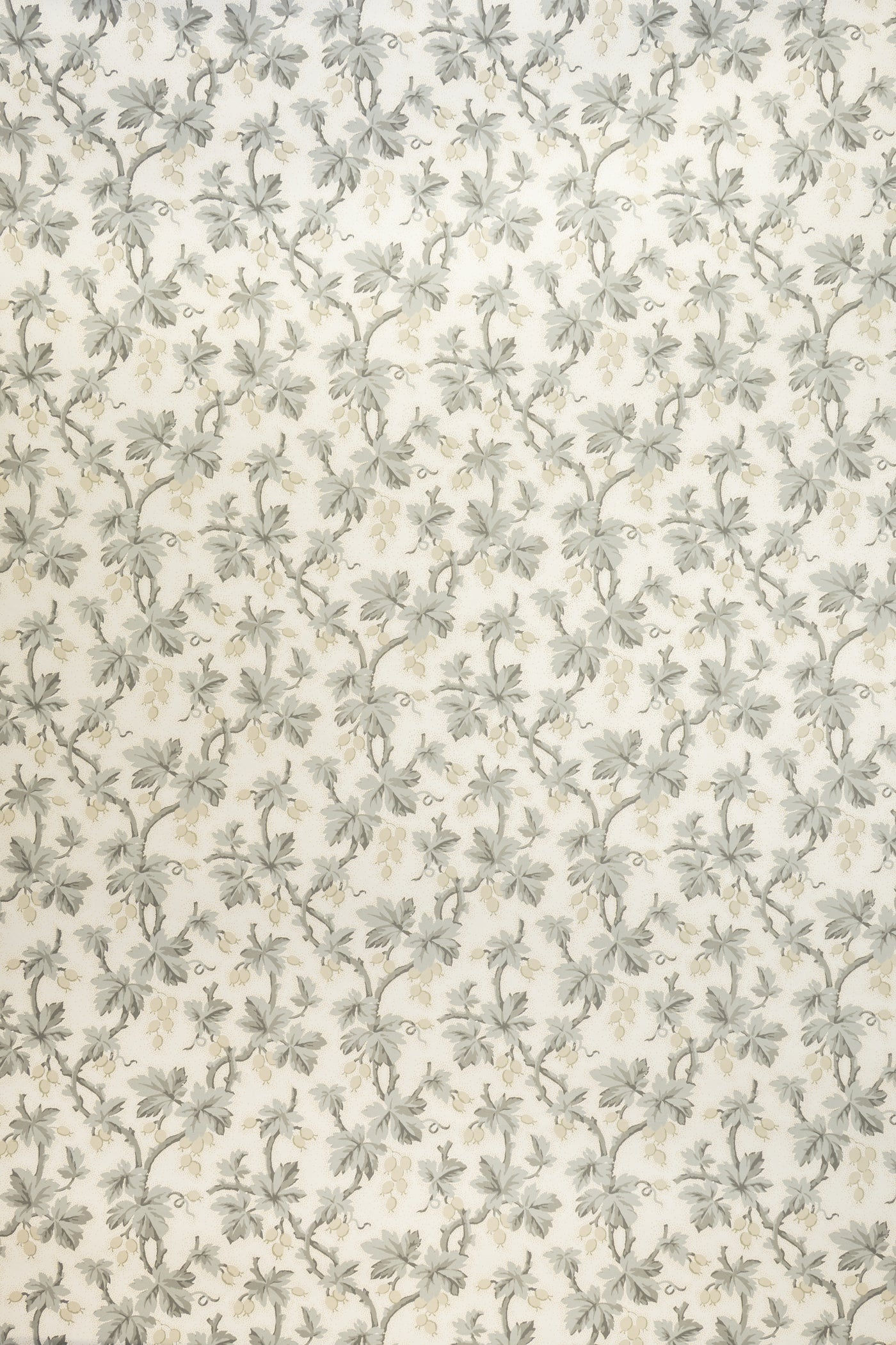 jmp-goo-02 dove_GOOSEBERRY wallpaper