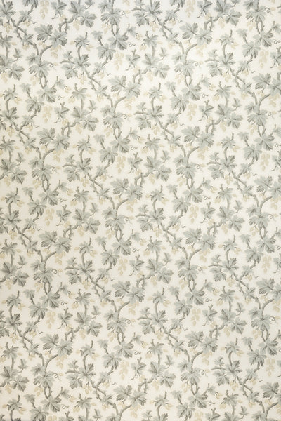 jmp-goo-02 dove_GOOSEBERRY wallpaper