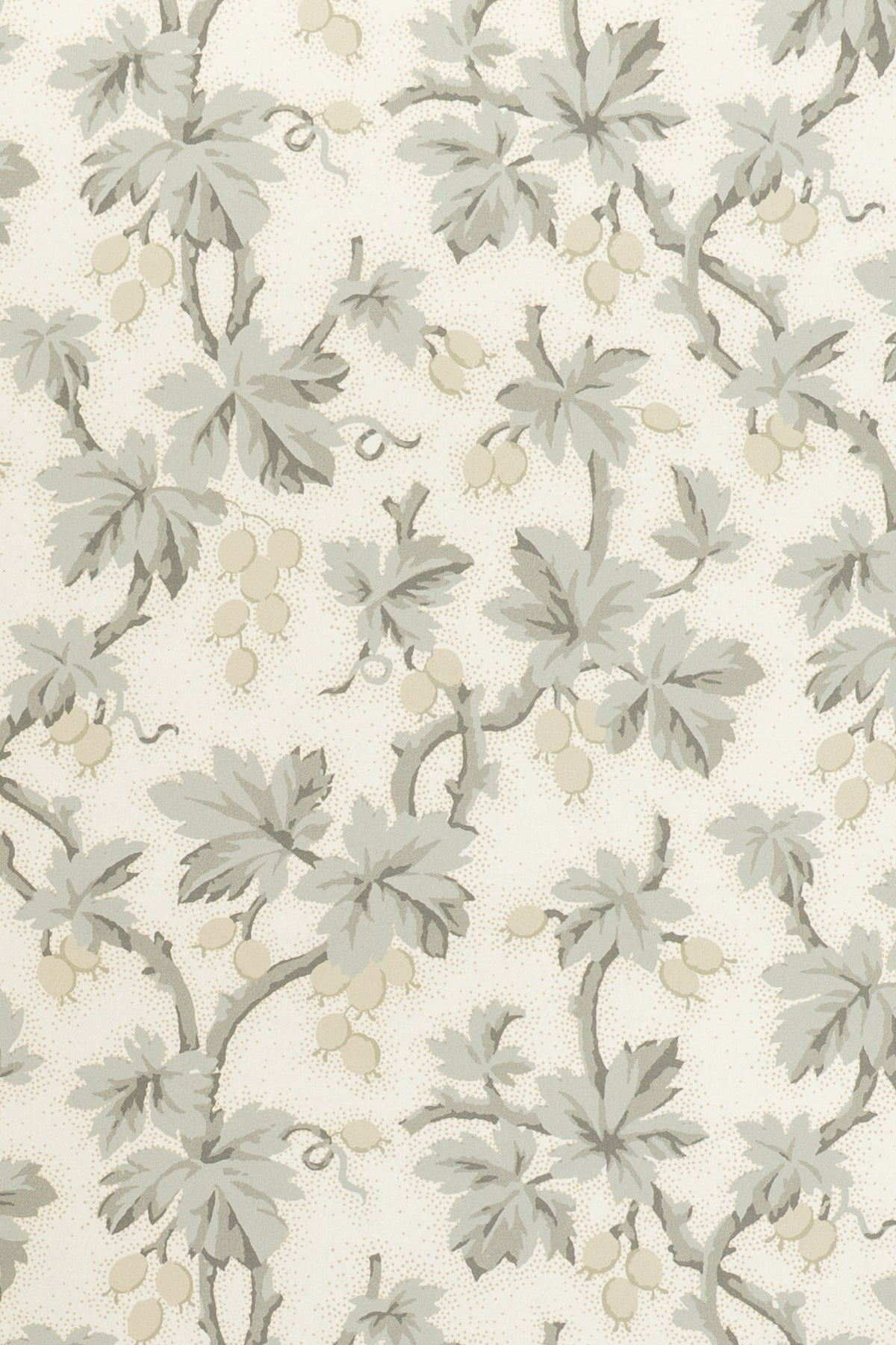 jmp-goo-02 dove_GOOSEBERRY wallpaper