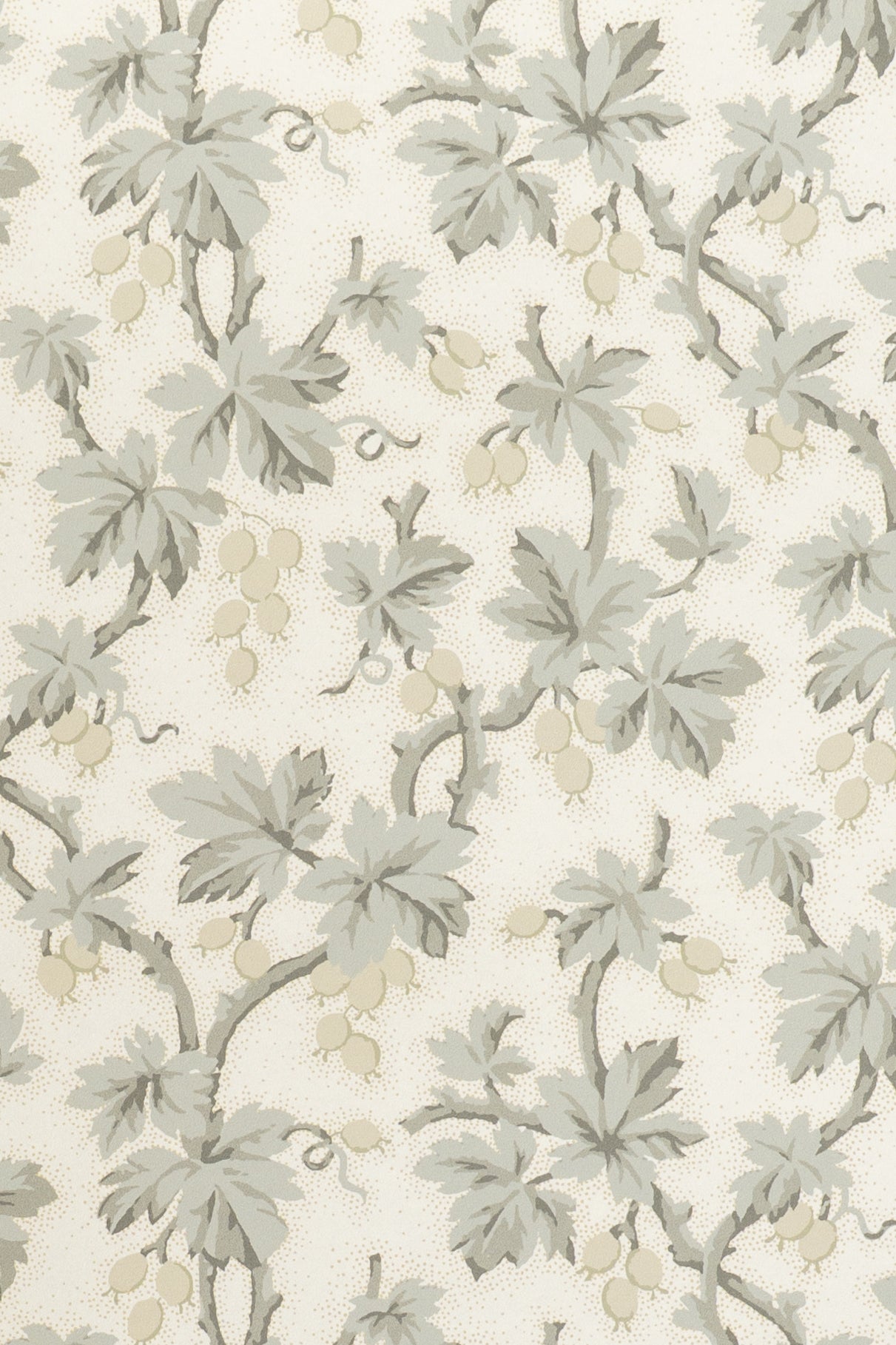 jmp-goo-02 dove_GOOSEBERRY wallpaper