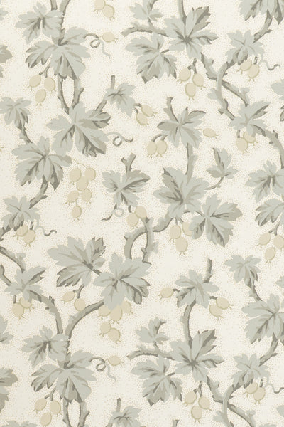 jmp-goo-02 dove_GOOSEBERRY wallpaper