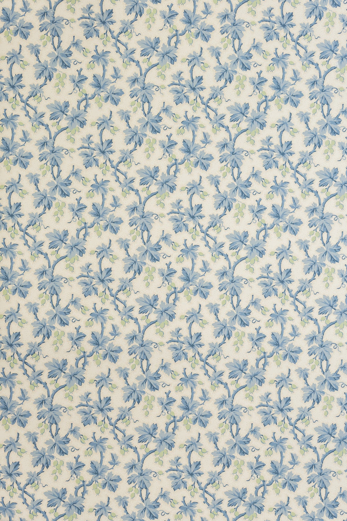 jmp-goo-05 lake_GOOSEBERRY wallpaper