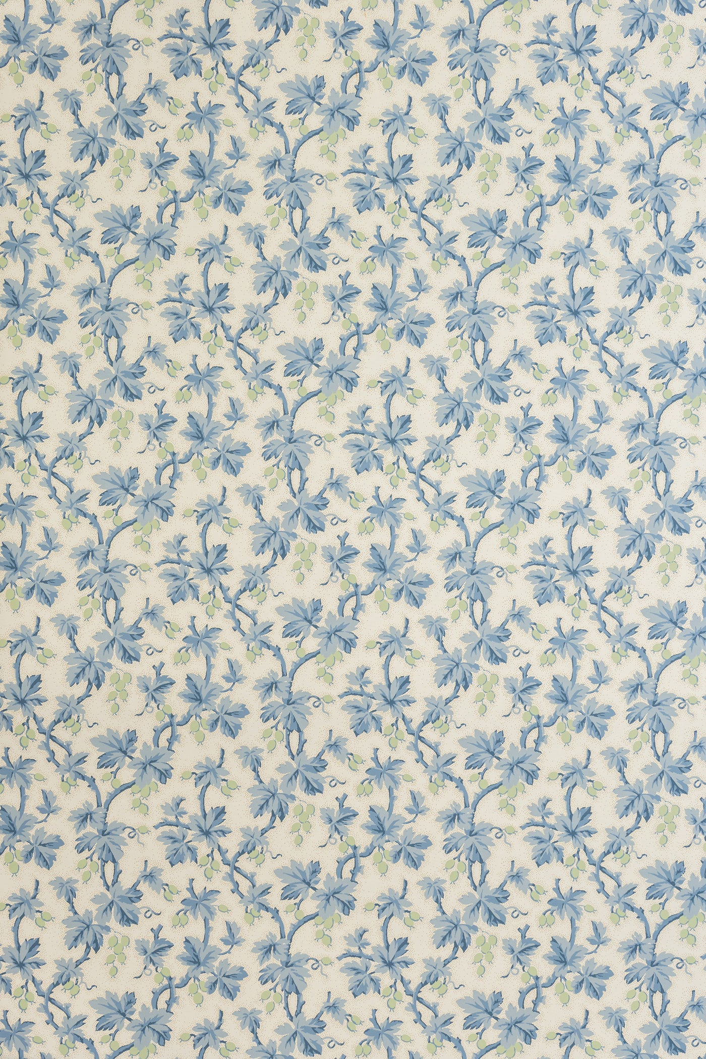 jmp-goo-05 lake_GOOSEBERRY wallpaper