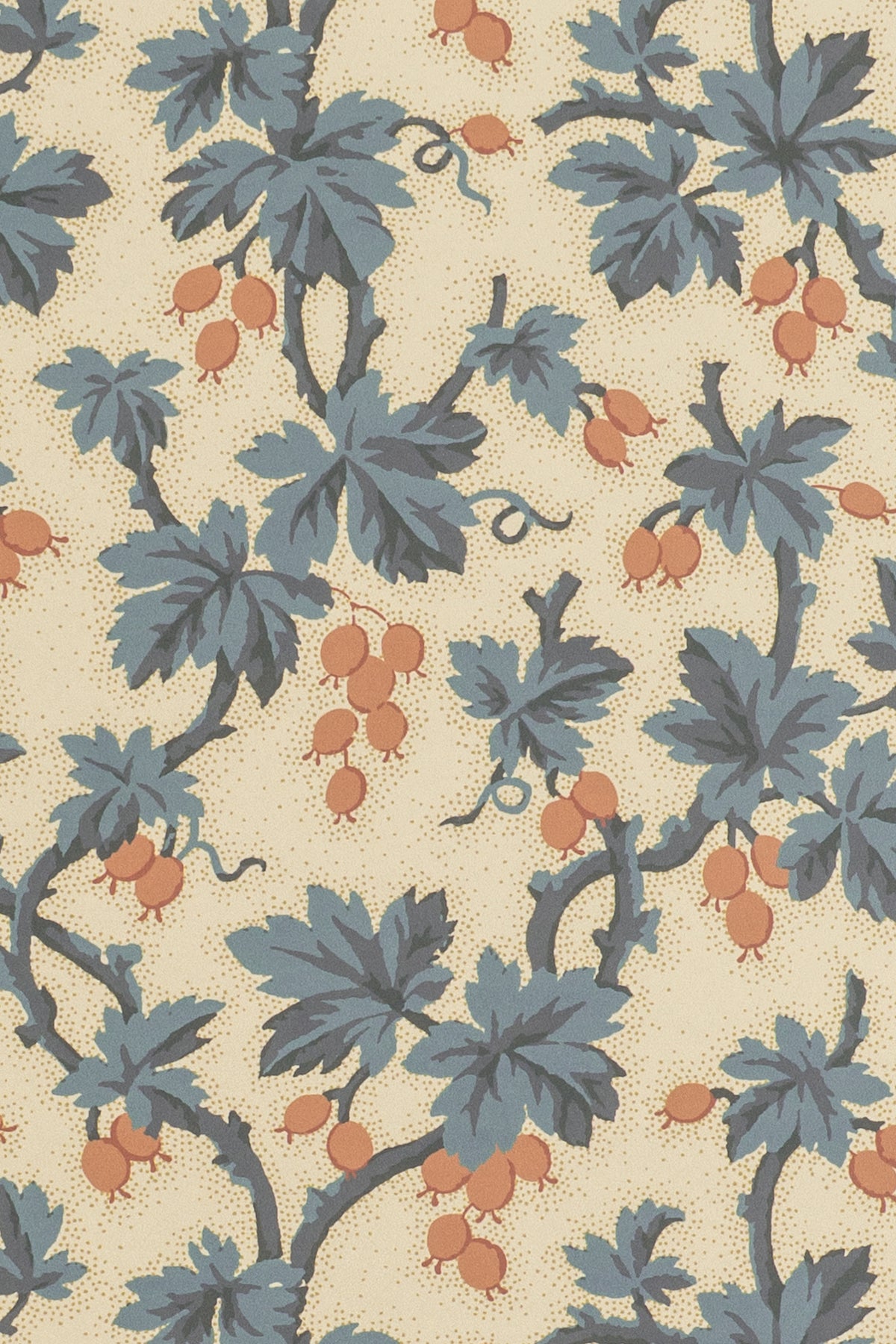 jmp-goo-06 document_GOOSEBERRY wallpaper