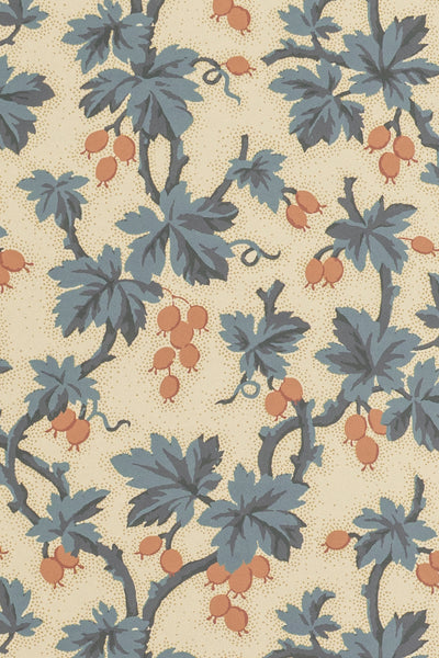jmp-goo-06 document_GOOSEBERRY wallpaper