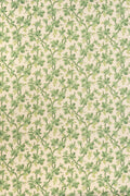 JMP-GOO-04 lettuce