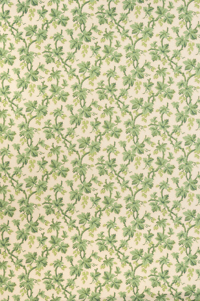 jmp-goo-04 lettuce_GOOSEBERRY wallpaper