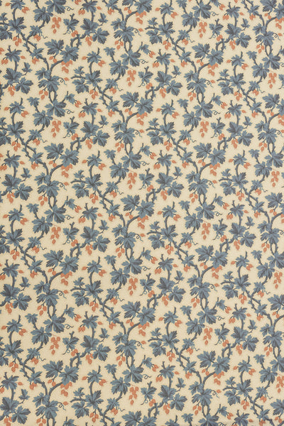 jmp-goo-06 document_GOOSEBERRY wallpaper