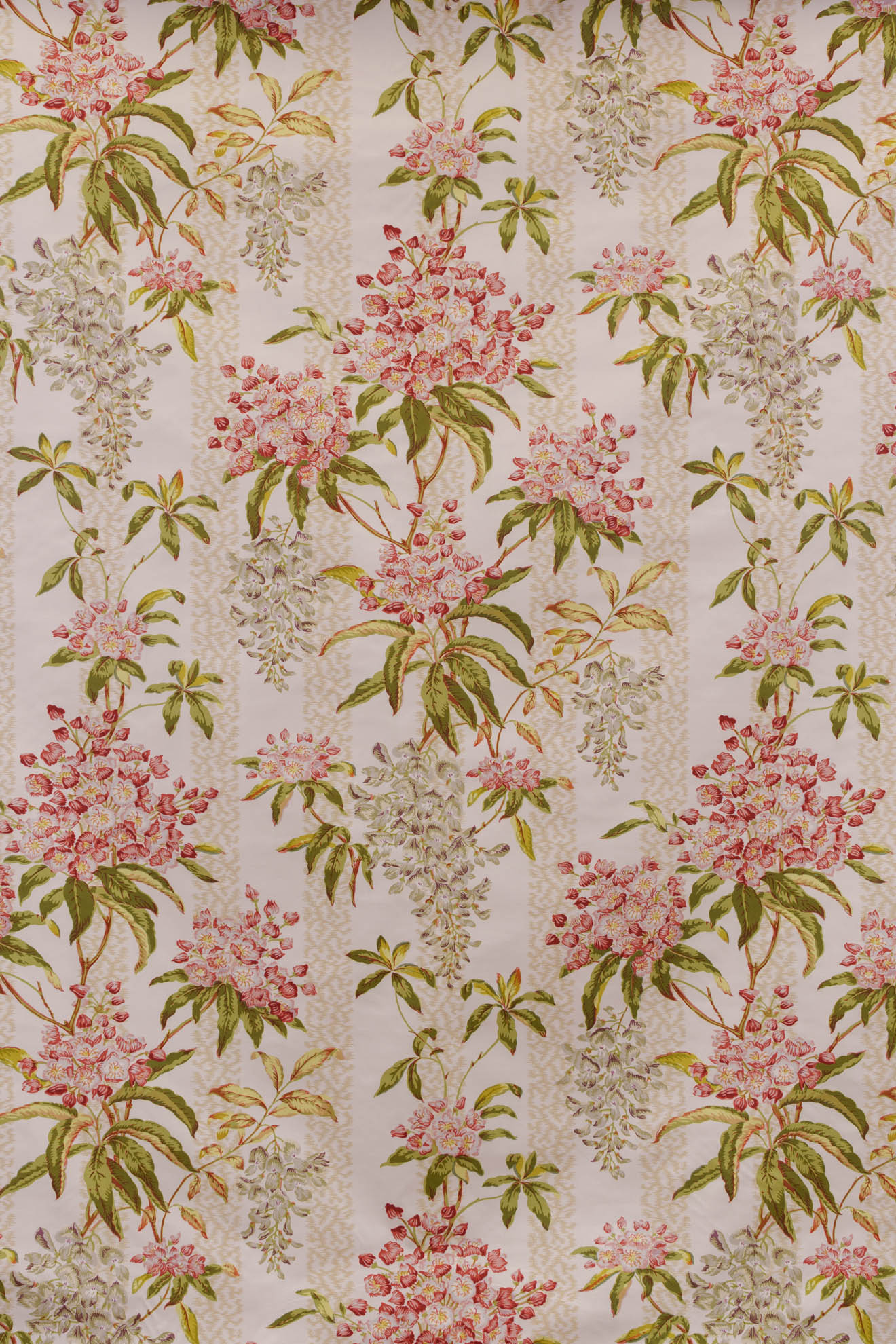 sorbet_LA GLYCINE