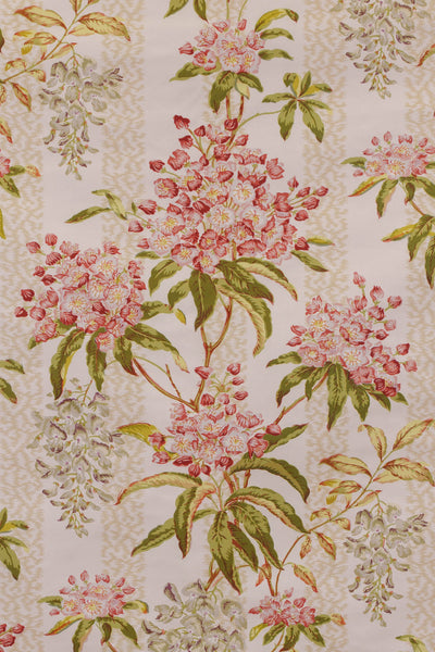sorbet_LA GLYCINE