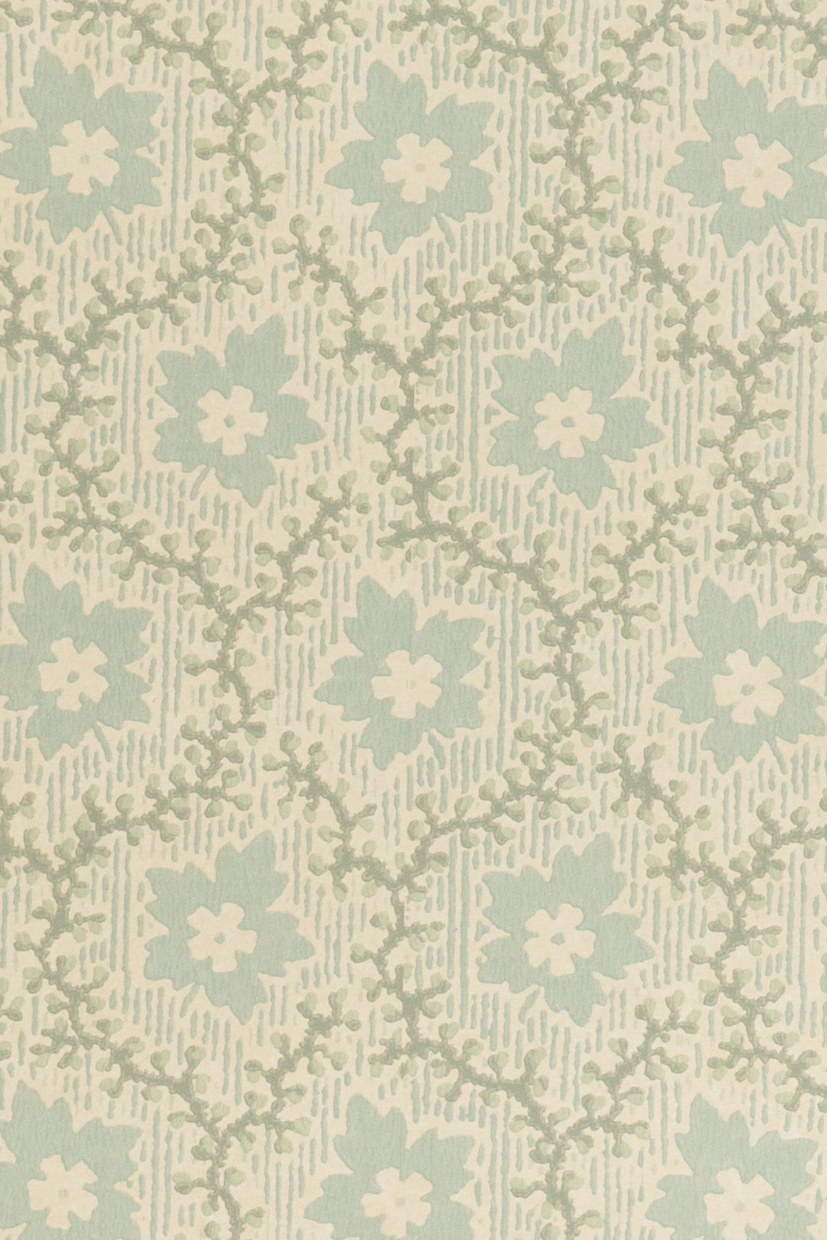 jmp-soa-01 robin's egg_SOAPBERRY wallpaper