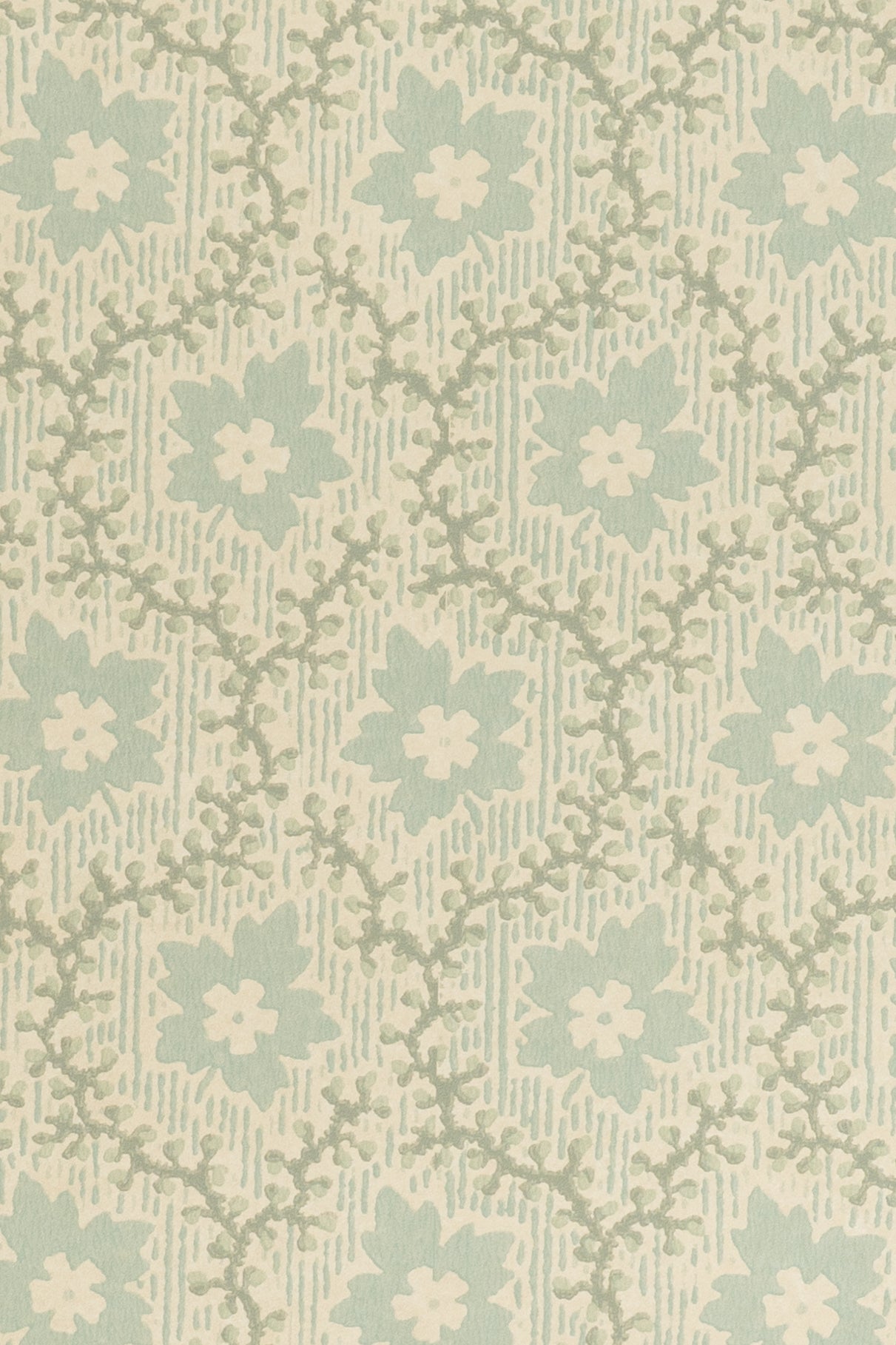 jmp-soa-01 robin's egg_SOAPBERRY wallpaper