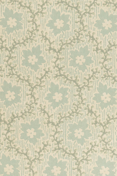 jmp-soa-01 robin's egg_SOAPBERRY wallpaper