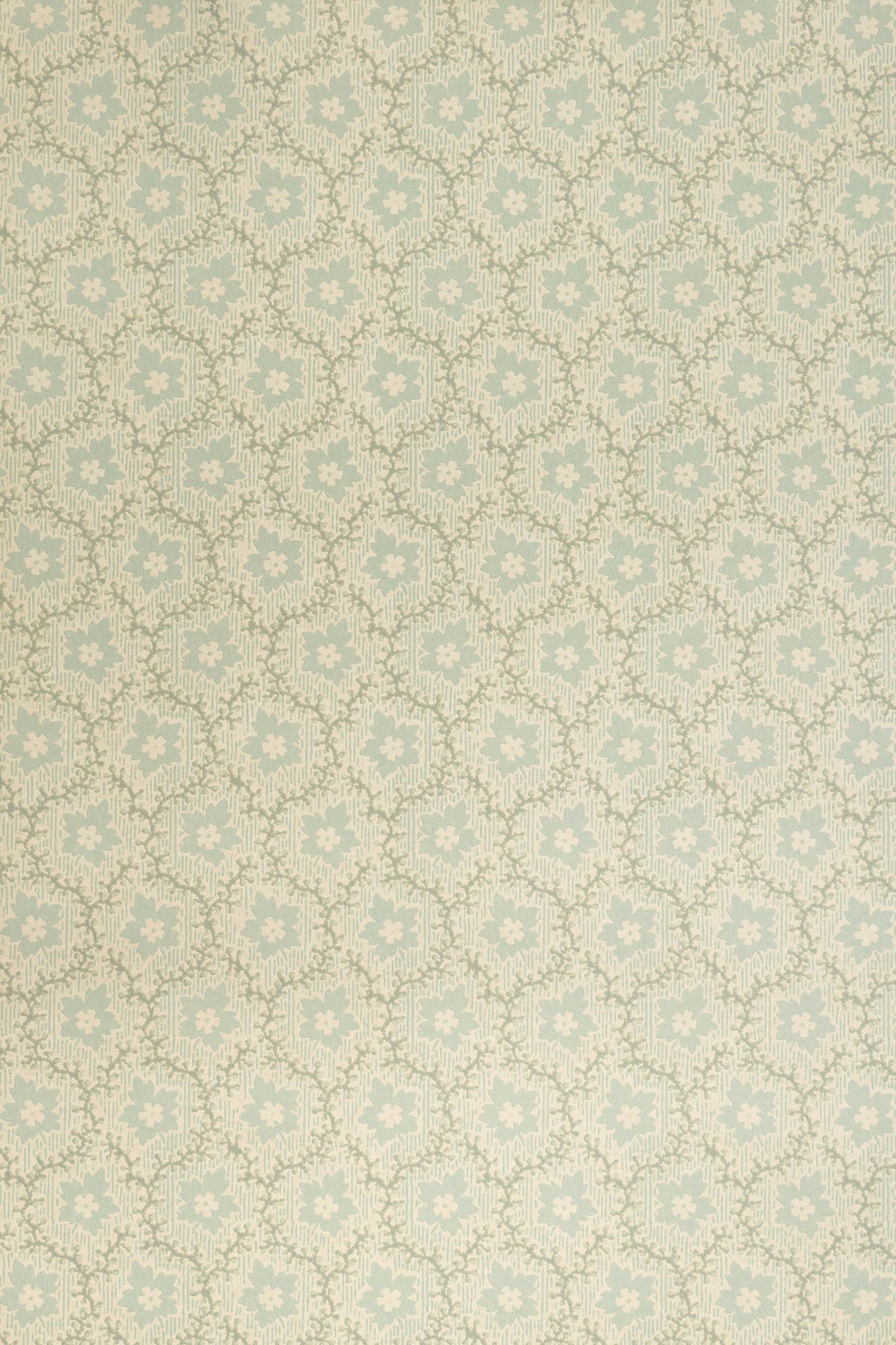 jmp-soa-01 robin's egg_SOAPBERRY wallpaper