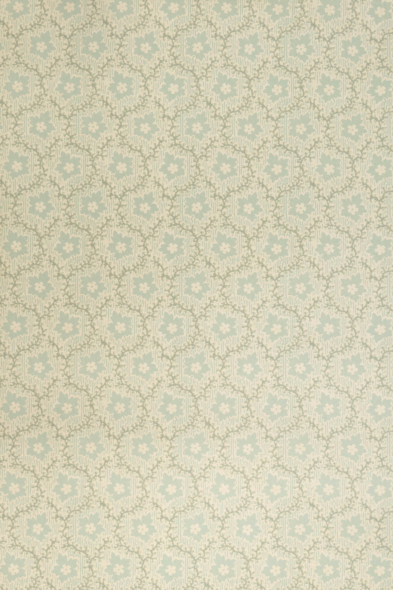 jmp-soa-01 robin's egg_SOAPBERRY wallpaper
