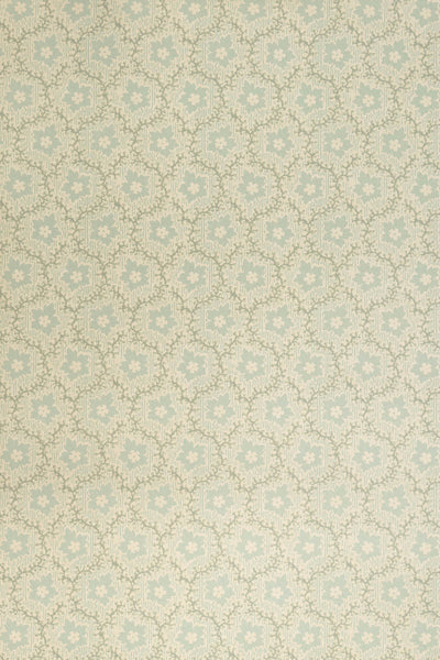 jmp-soa-01 robin's egg_SOAPBERRY wallpaper