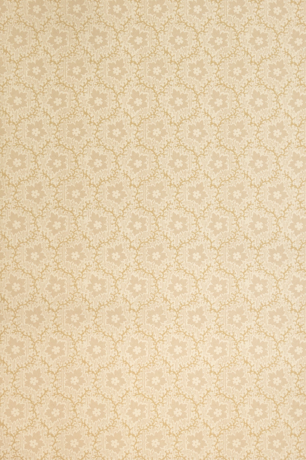 jmp-soa-02 pebble_SOAPBERRY wallpaper