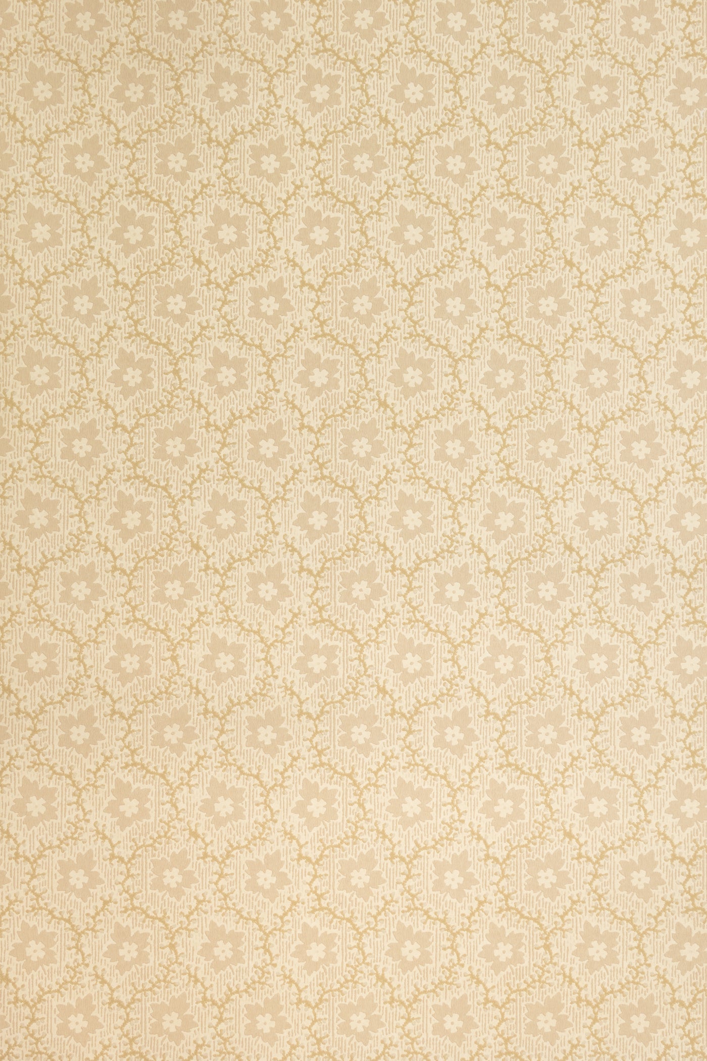 jmp-soa-02 pebble_SOAPBERRY wallpaper