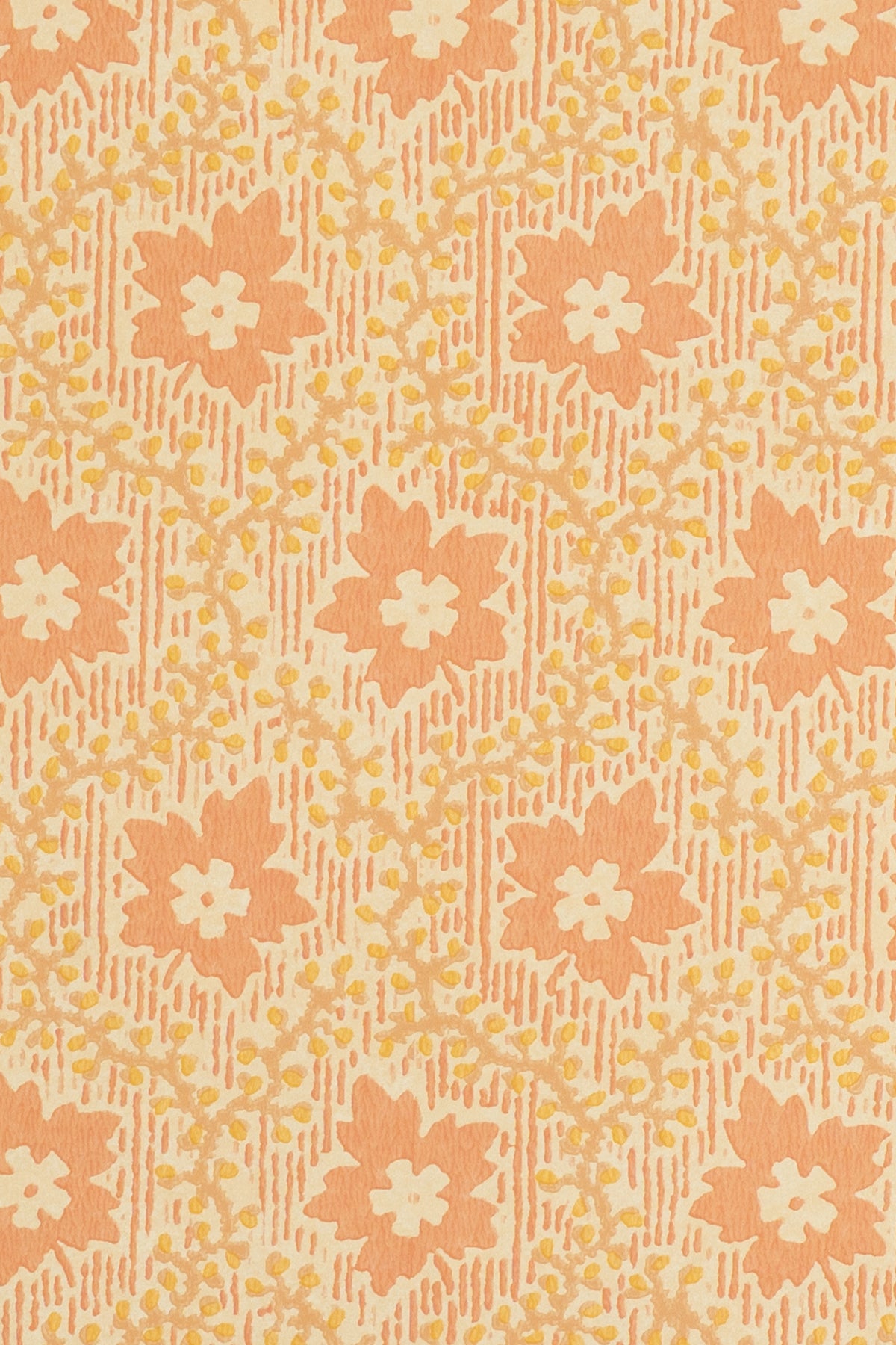 jmp-soa-03 shrimp_SOAPBERRY wallpaper