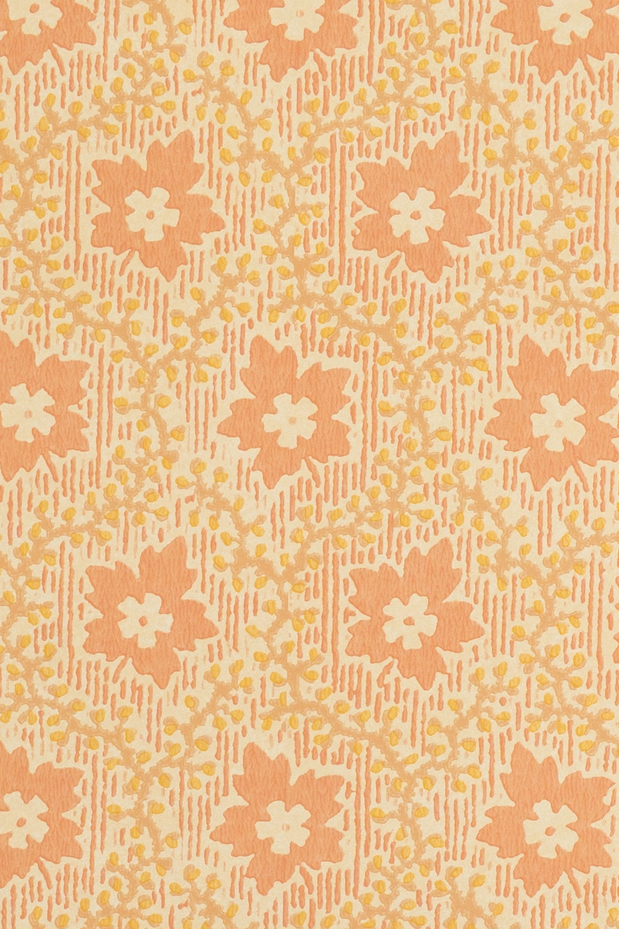 jmp-soa-03 shrimp_SOAPBERRY wallpaper