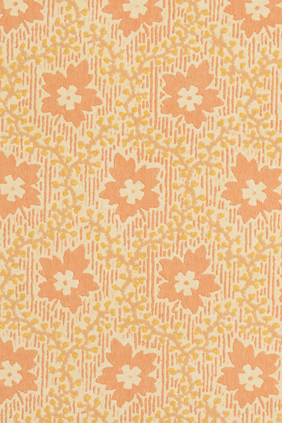 jmp-soa-03 shrimp_SOAPBERRY wallpaper