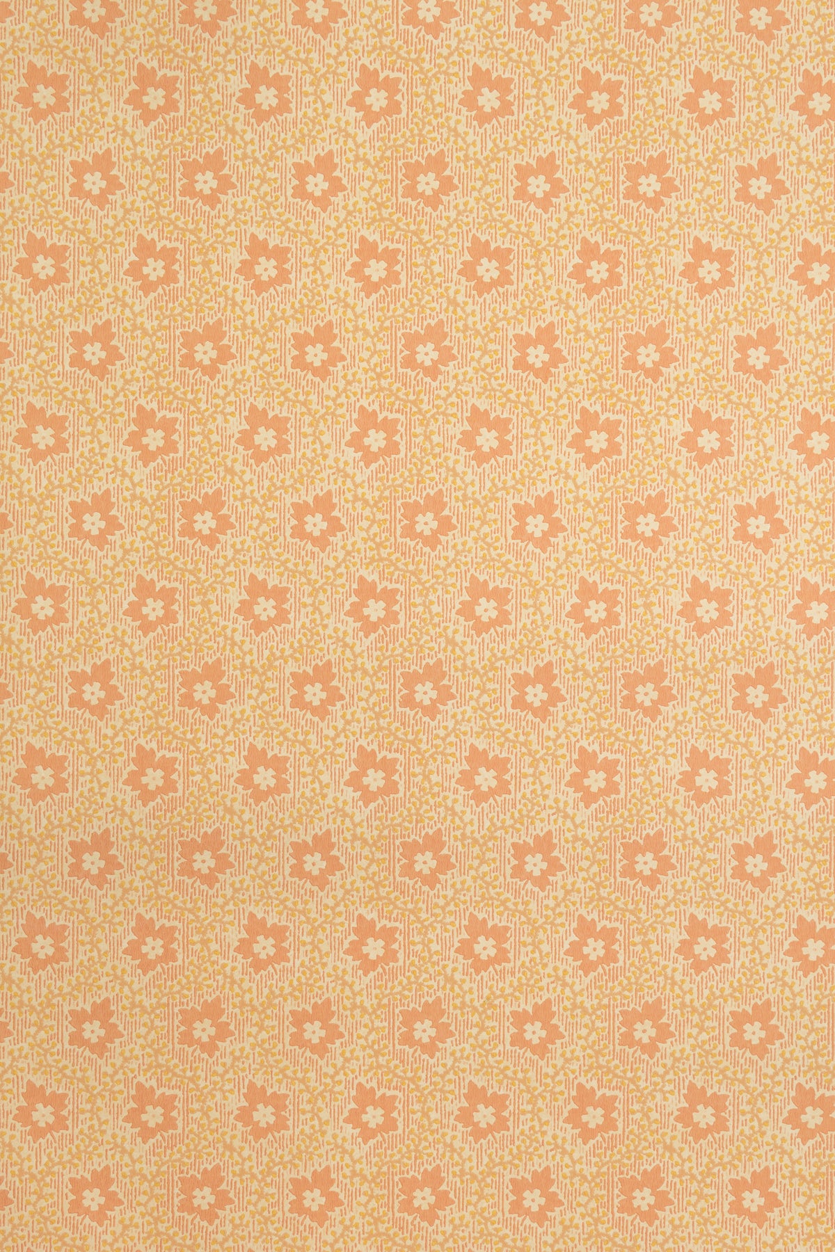 jmp-soa-03 shrimp_SOAPBERRY wallpaper