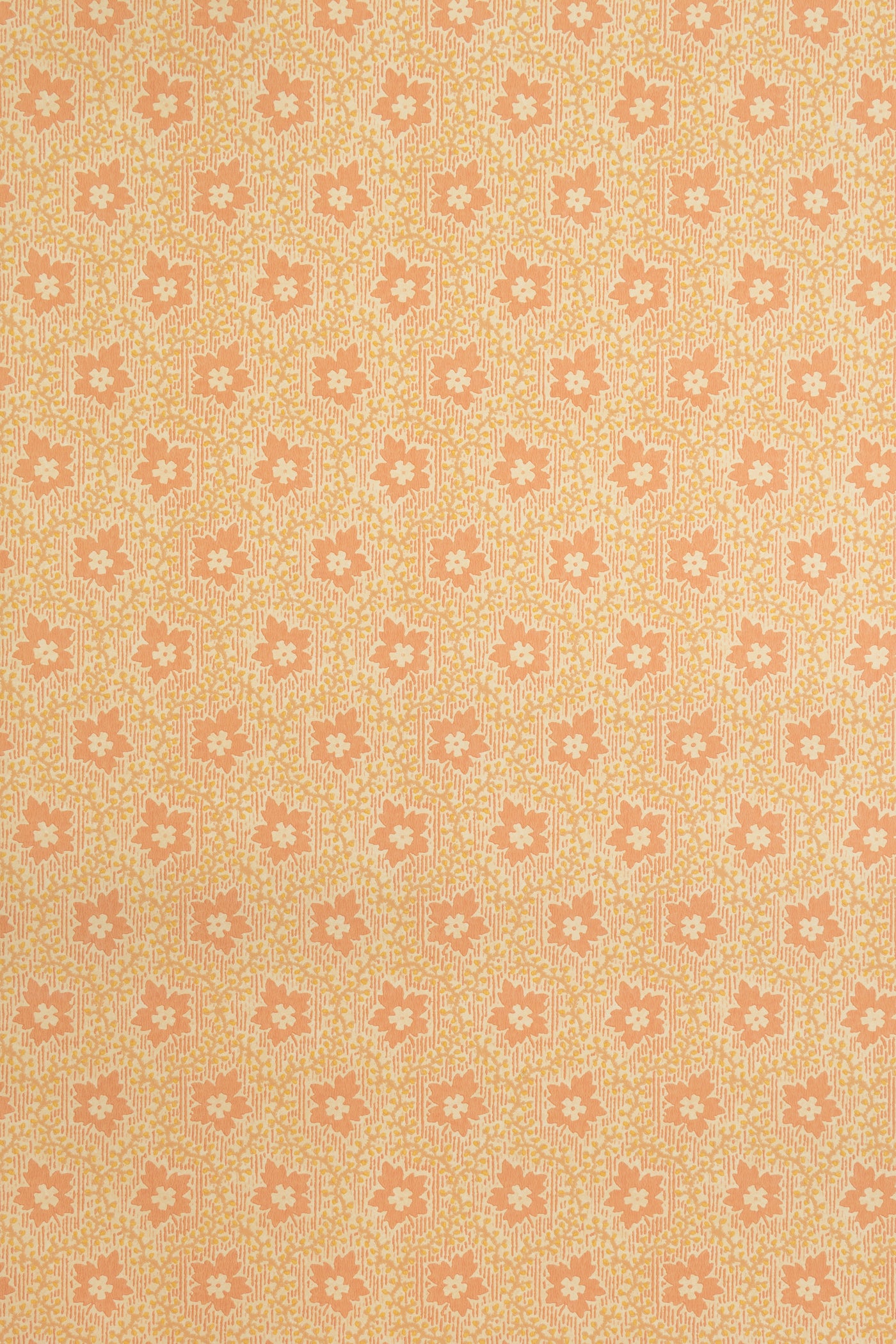 jmp-soa-03 shrimp_SOAPBERRY wallpaper