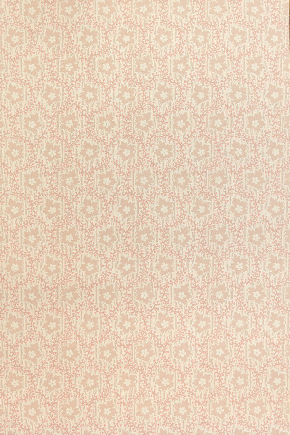 jmp-soa-04 tickled_SOAPBERRY wallpaper
