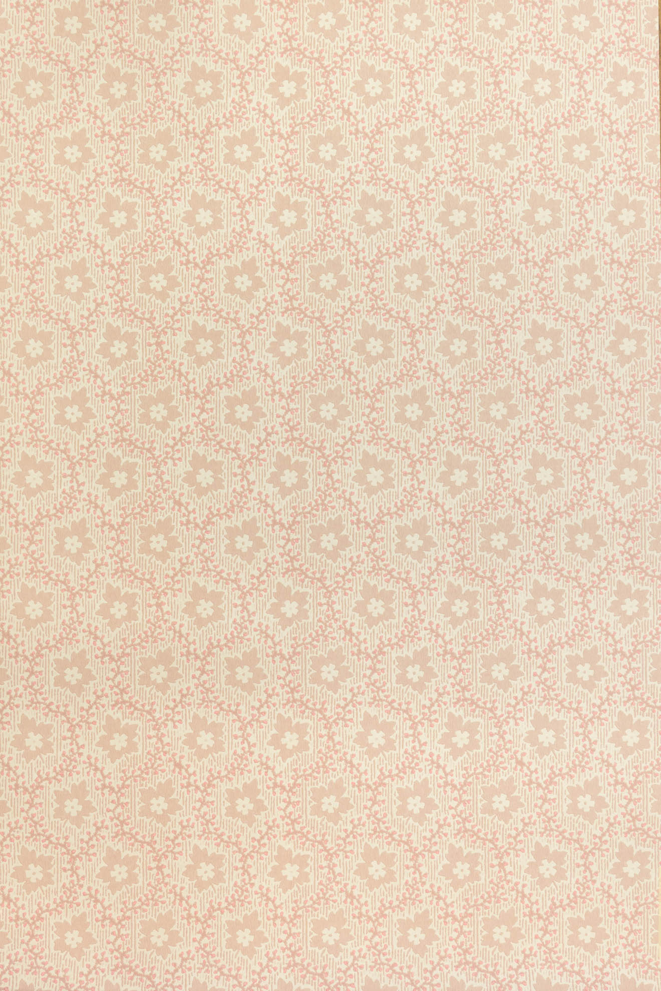 jmp-soa-04 tickled_SOAPBERRY wallpaper
