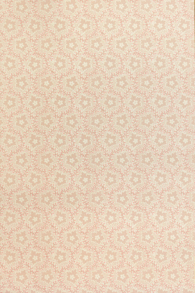 jmp-soa-04 tickled_SOAPBERRY wallpaper