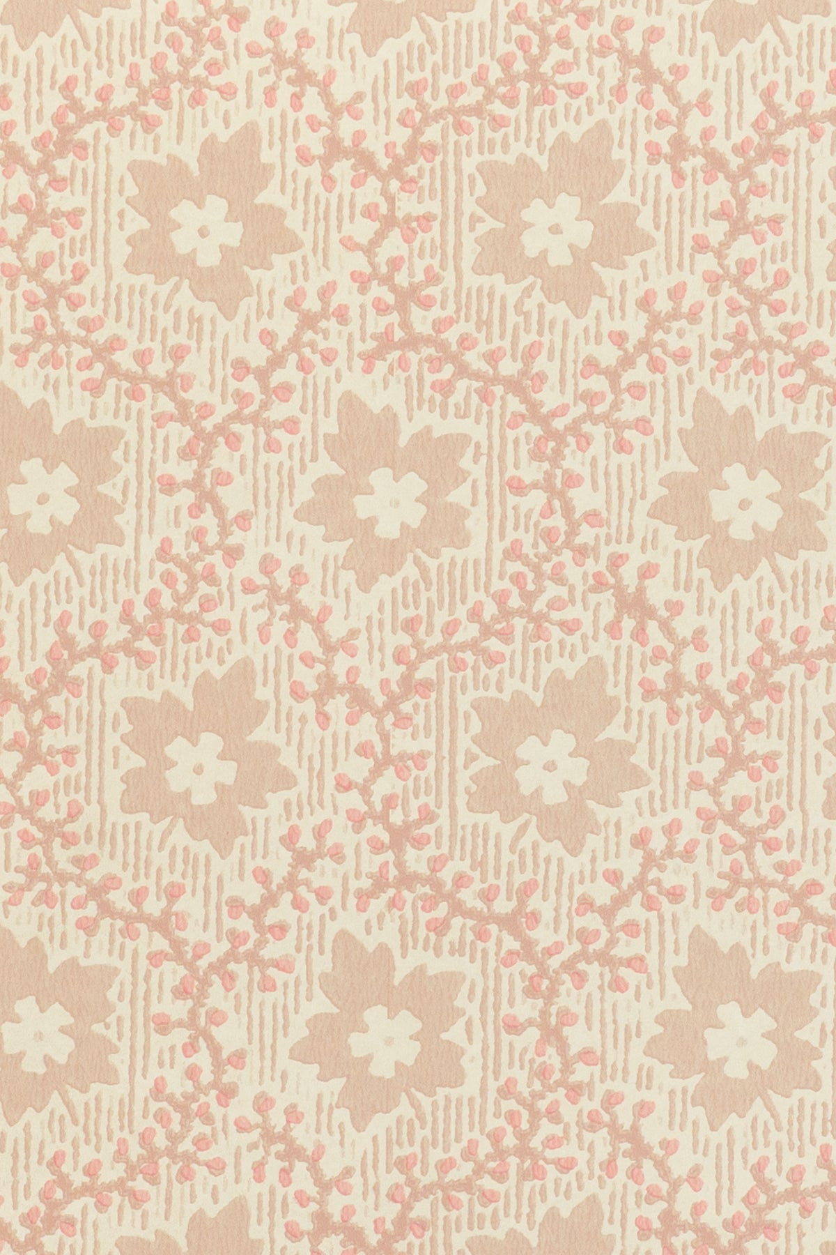 jmp-soa-04 tickled_SOAPBERRY wallpaper