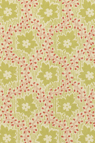 jmp-soa-06 document_SOAPBERRY wallpaper