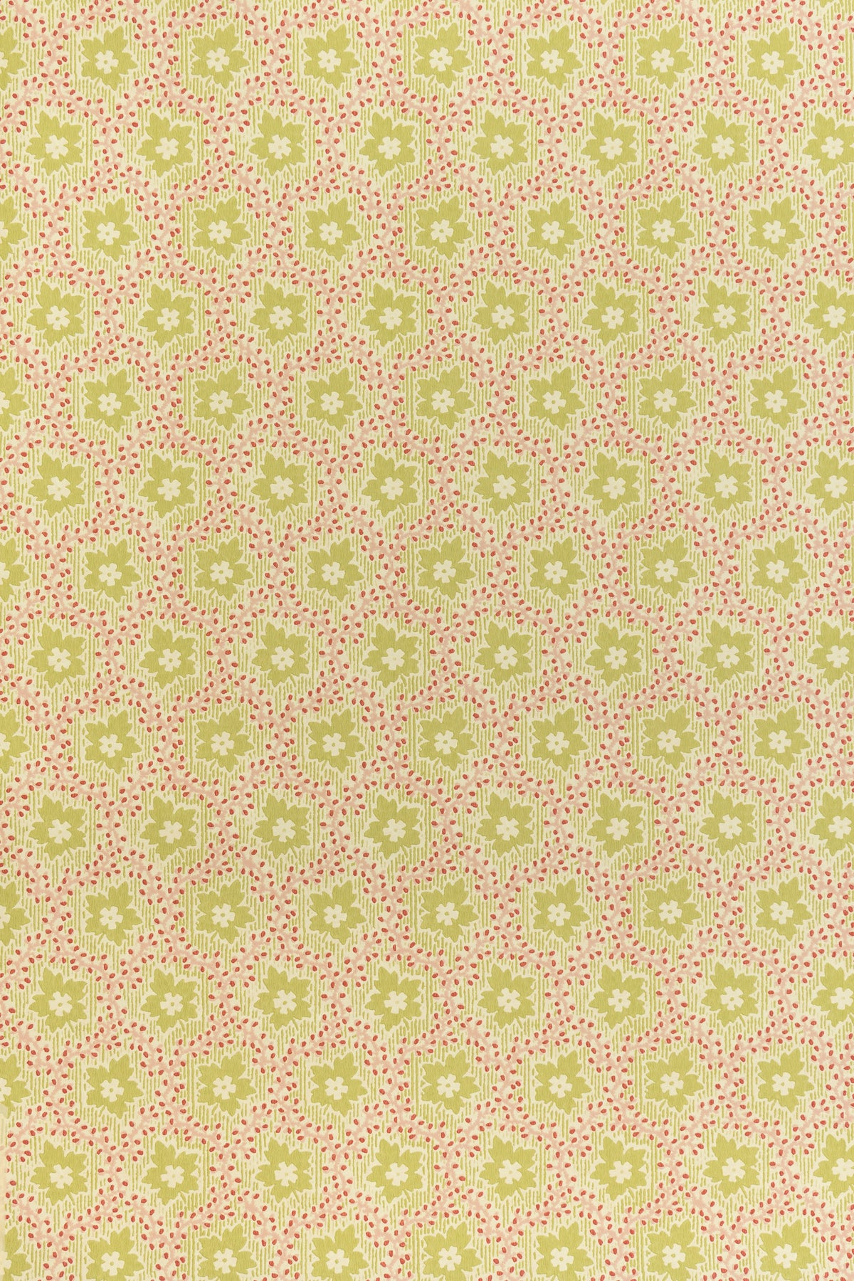 jmp-soa-06 document_SOAPBERRY wallpaper