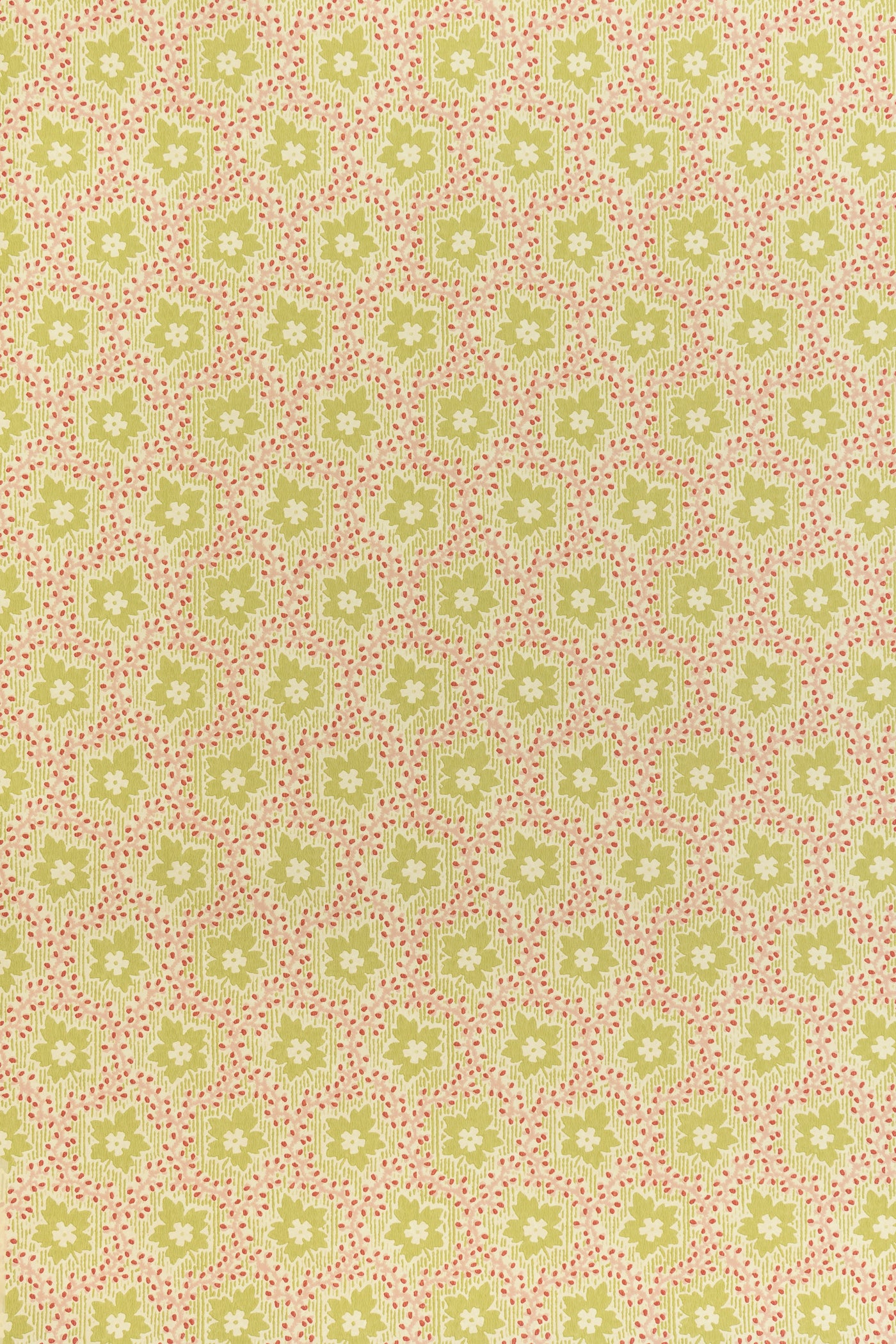 jmp-soa-06 document_SOAPBERRY wallpaper