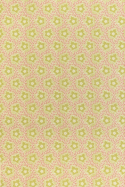 jmp-soa-06 document_SOAPBERRY wallpaper
