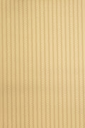 JMP-SQU-01 canvas