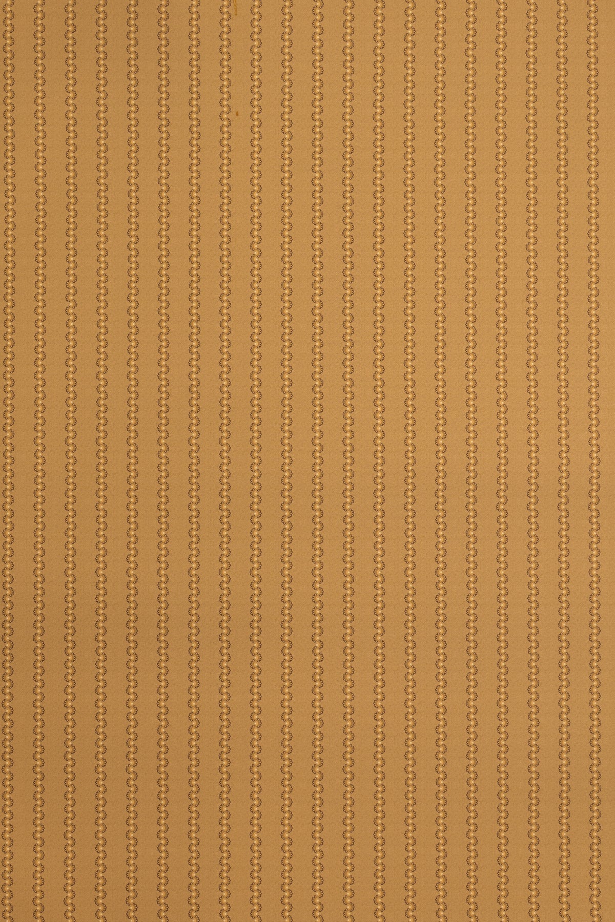 jmp-squ-03 caramel_SQUEAK wallpaper