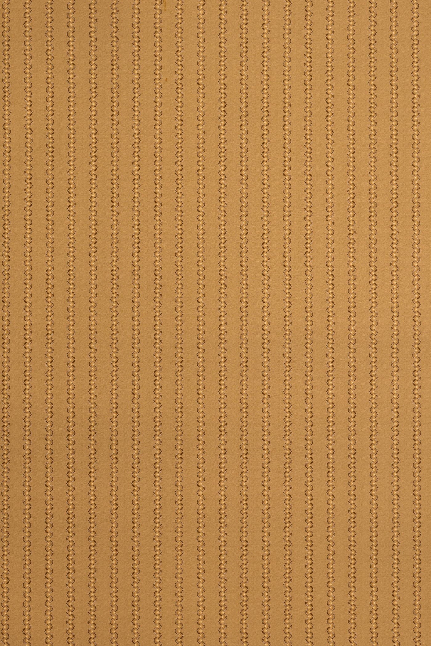 jmp-squ-03 caramel_SQUEAK wallpaper