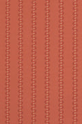 JMP-SQU-04 tomato