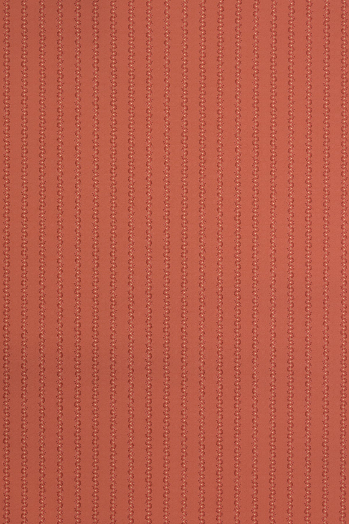 jmp-squ-04 tomato_SQUEAK wallpaper