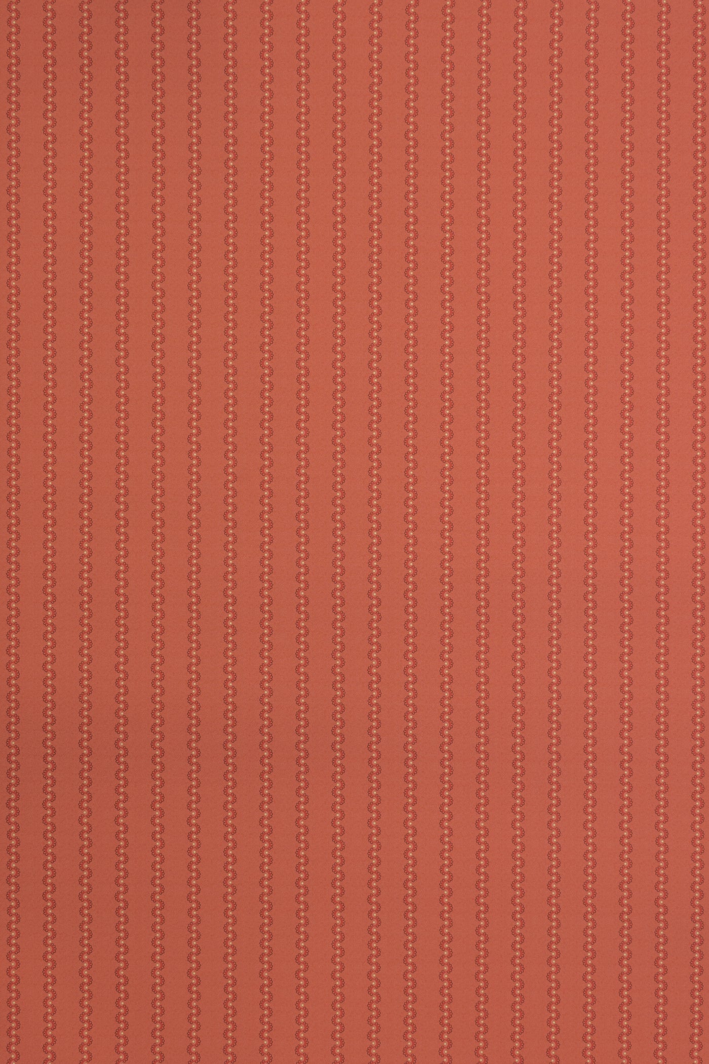 jmp-squ-04 tomato_SQUEAK wallpaper