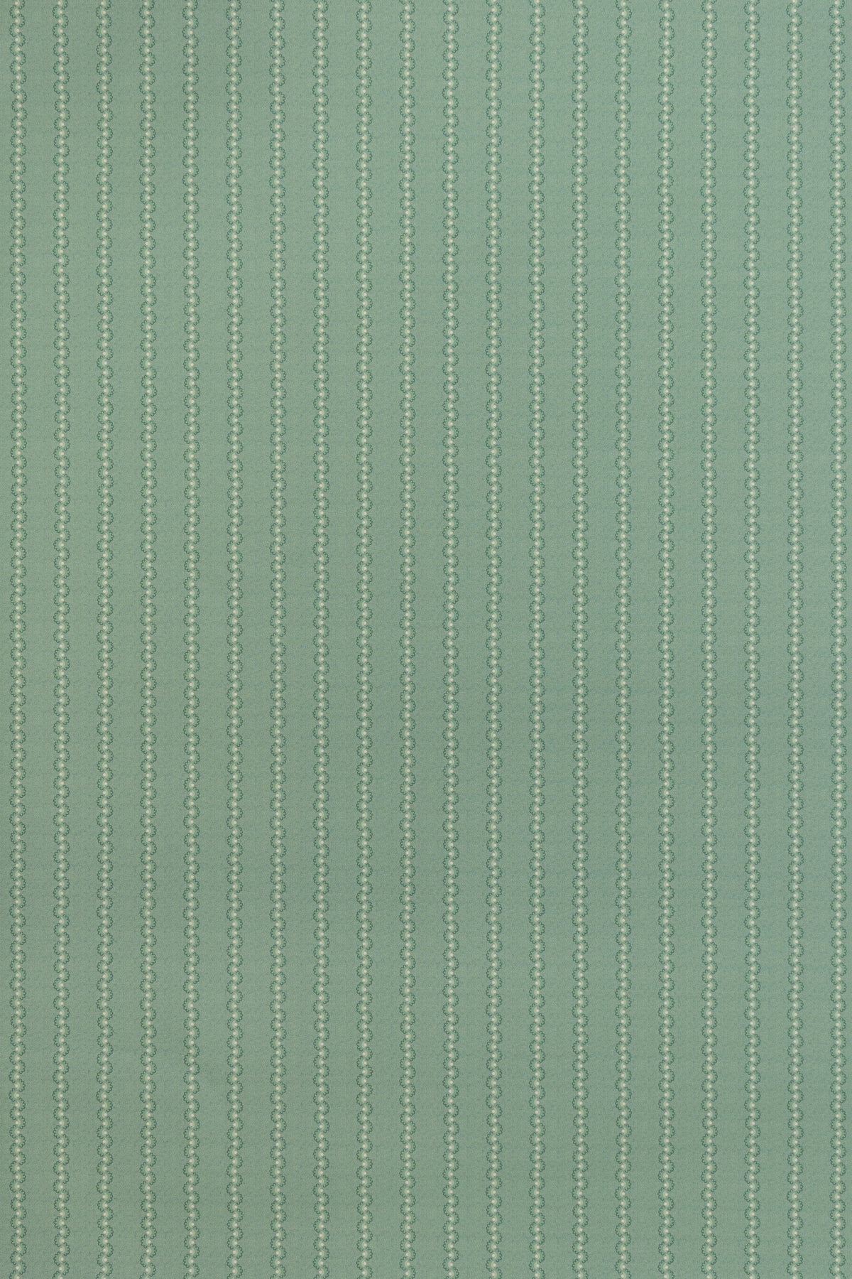jmp-squ-05 shark_SQUEAK wallpaper